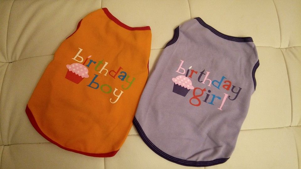 НАМАЛЕНИЕ дрехи, тениски за кученца