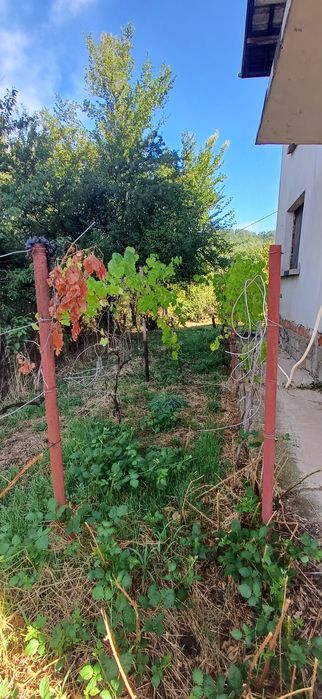 Продава се Къща в с. Бабино, Област Кюстендил - 273 кв.м за 239 €/кв.м - Снимка #3