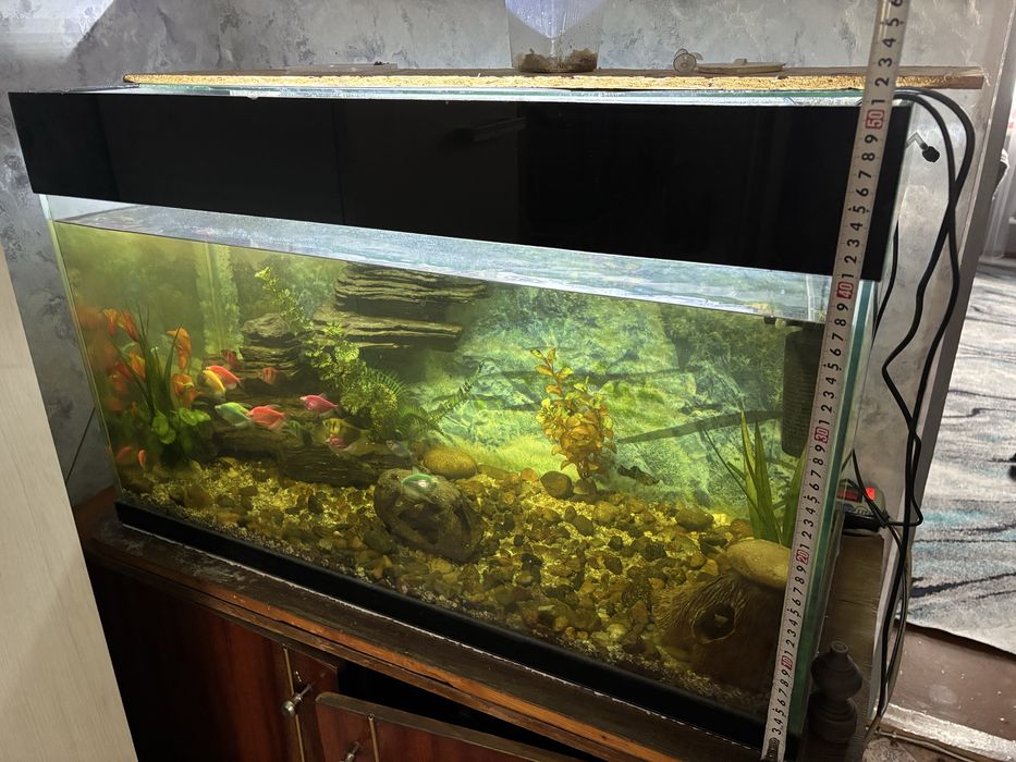 Продаеться оквариум с рыбками