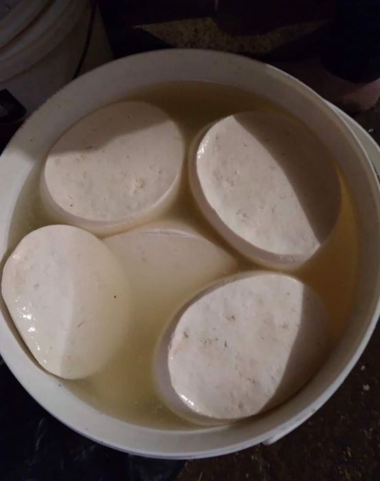 Branza de vaca 50 lei kg