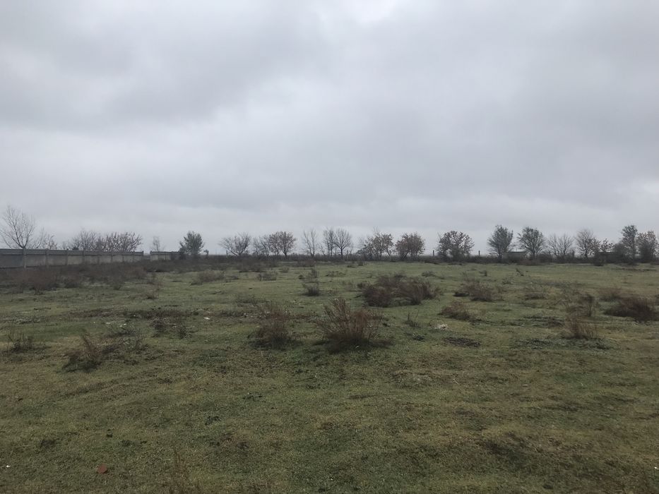 Продаётся комплекс крестьянского хозяйства