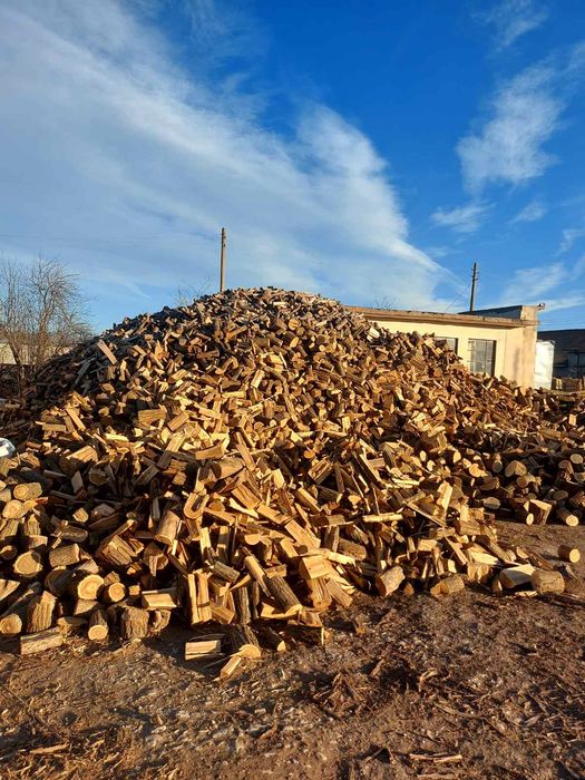 Дърва за огрев - Акация