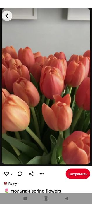 Тюльпаны голландские оптом на 8 марта