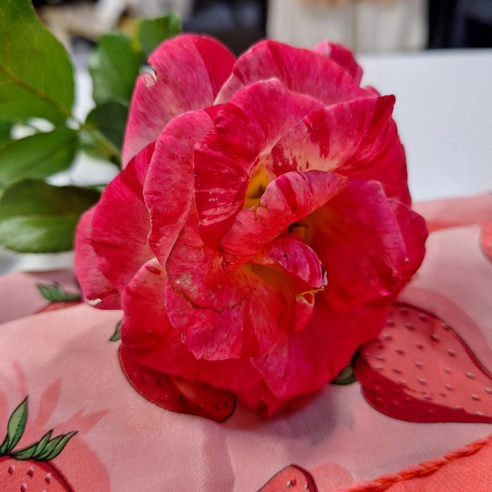 Esarfa matase Sergio! Capsunele!