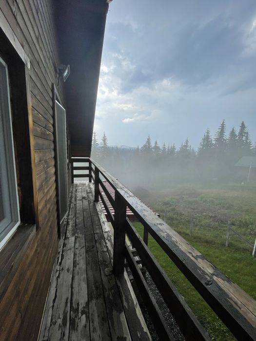 Cabana cu ciubar de vanzare