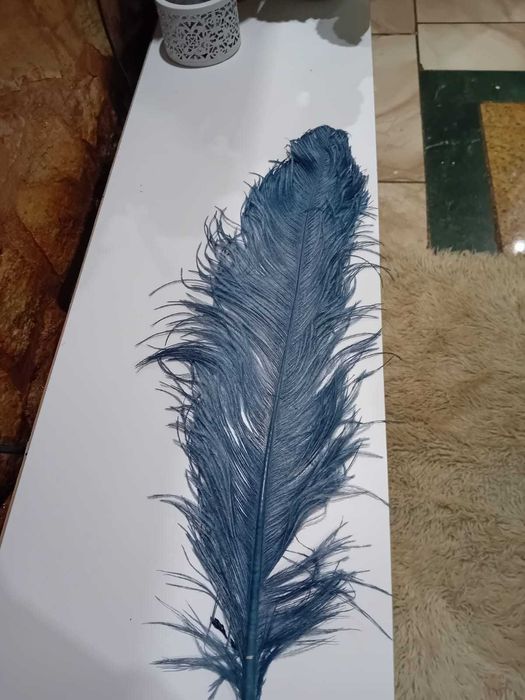 Pene de struț pentru evenimente