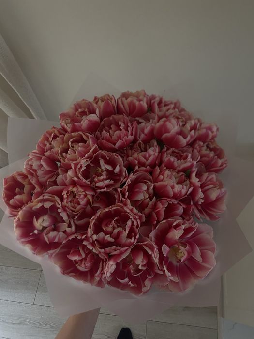 Свежие тюльпаны на выбор двое