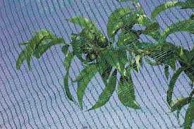 Plasa antigrindina ITALIA 1--6 m latime