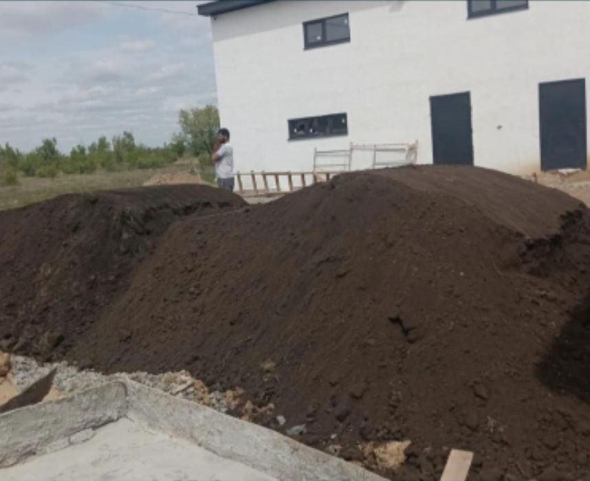 Чернозем газон елки благоустройство