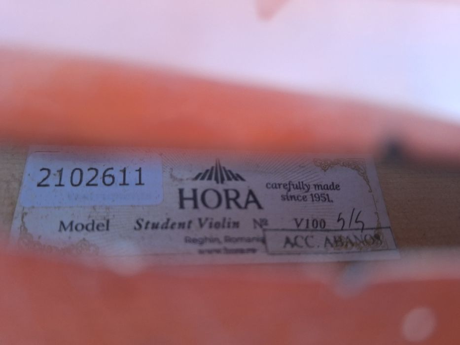 Vioara Hora v100