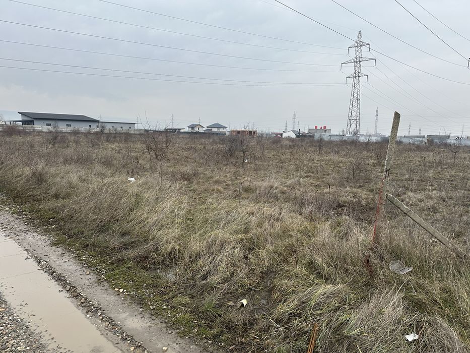 Teren 6000 mp Walter Maracineanu 89 m deschidere (str Stejarului)