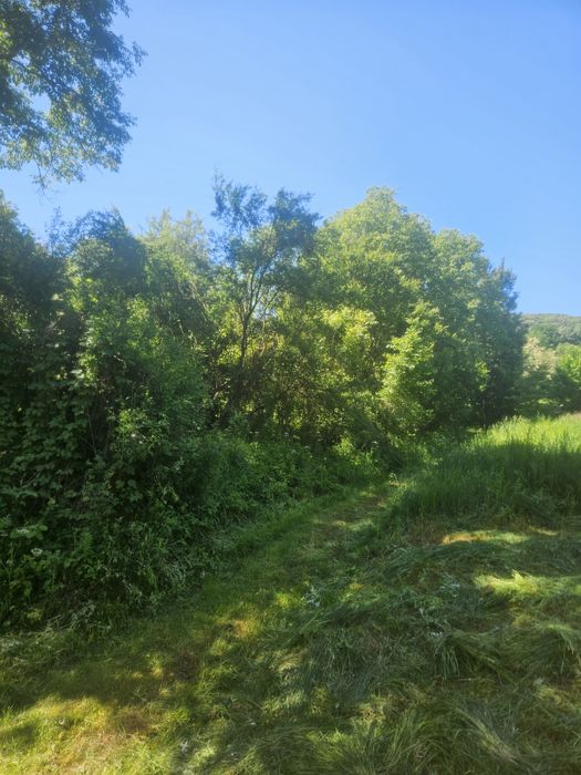 Teren 2600 m2 Ocnele Mari intravilan