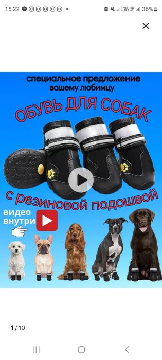 Обувь для собак  на липусках