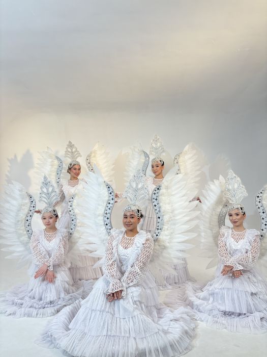 5 шт Аққу көйлегі қанатымен