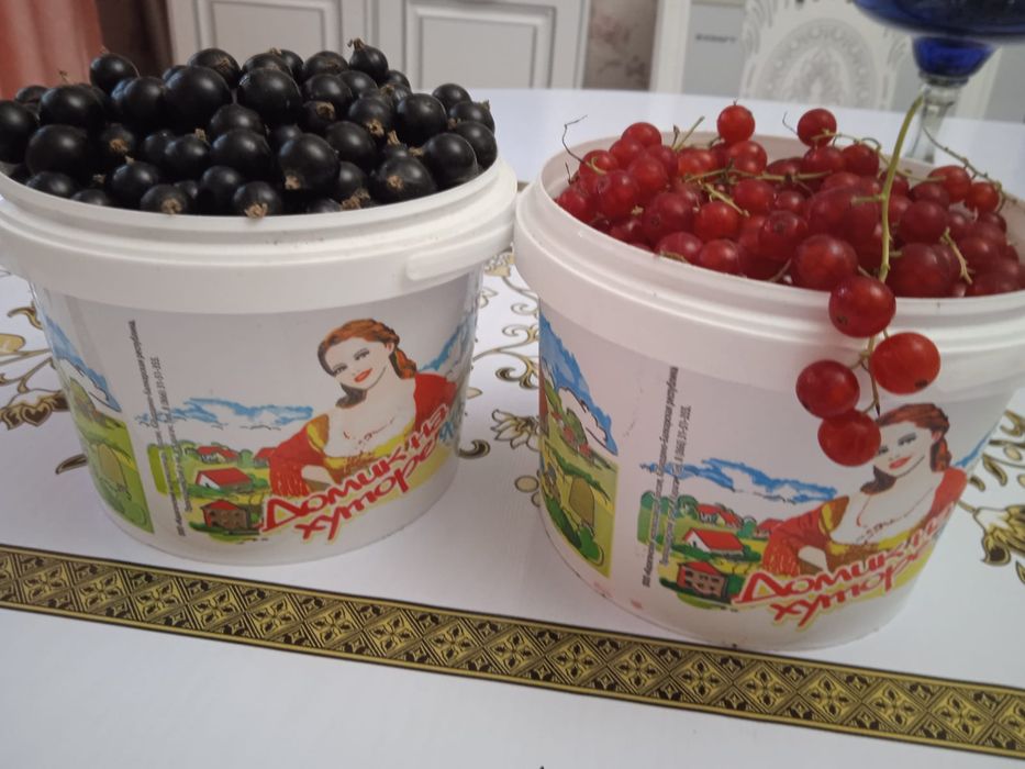 Смородина чёрная и красная