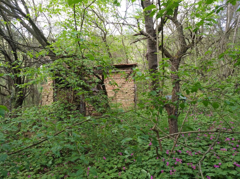 Продава се Парцел в с. Луково, Област София-област - 850 кв.м за 24 €/кв.м - Снимка #7