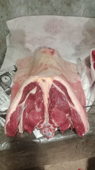 Продам мясо от 150000тг