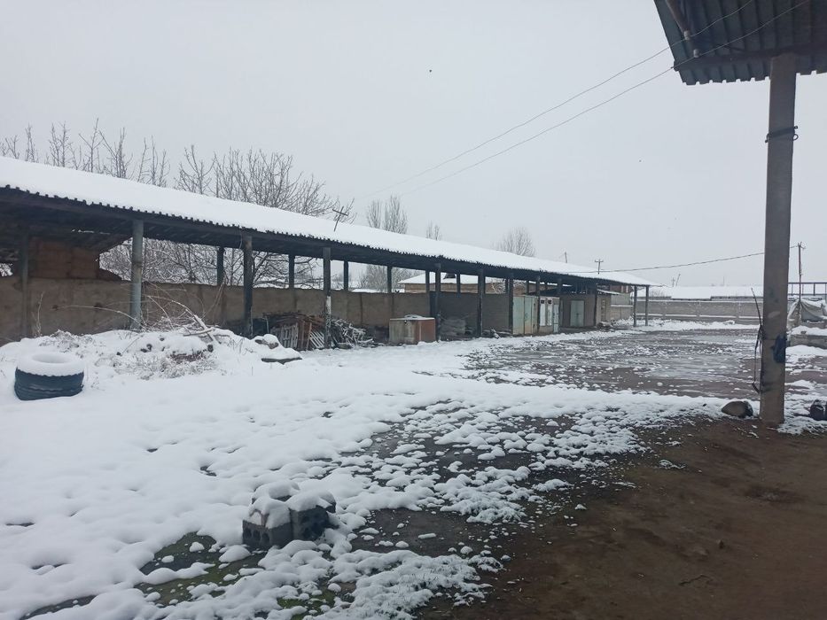 Кучмас мулк сотилади