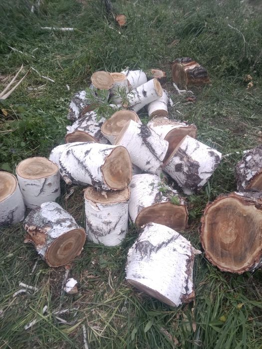 Продам Дрова Береза