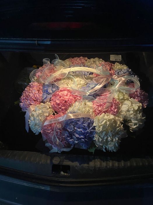 Гортензия 25 шт, свежие, срочно продается