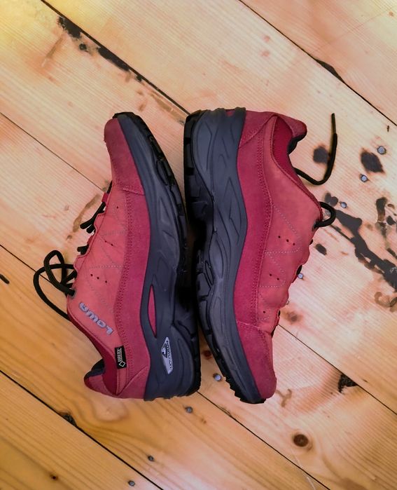 Pantofi Lowa Renegade Evo GTX