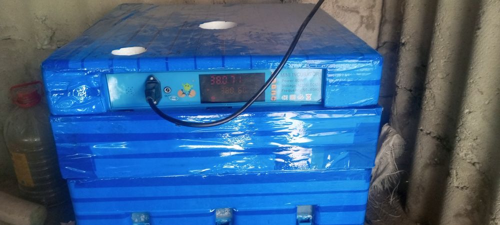 Инкубатор 120 талик