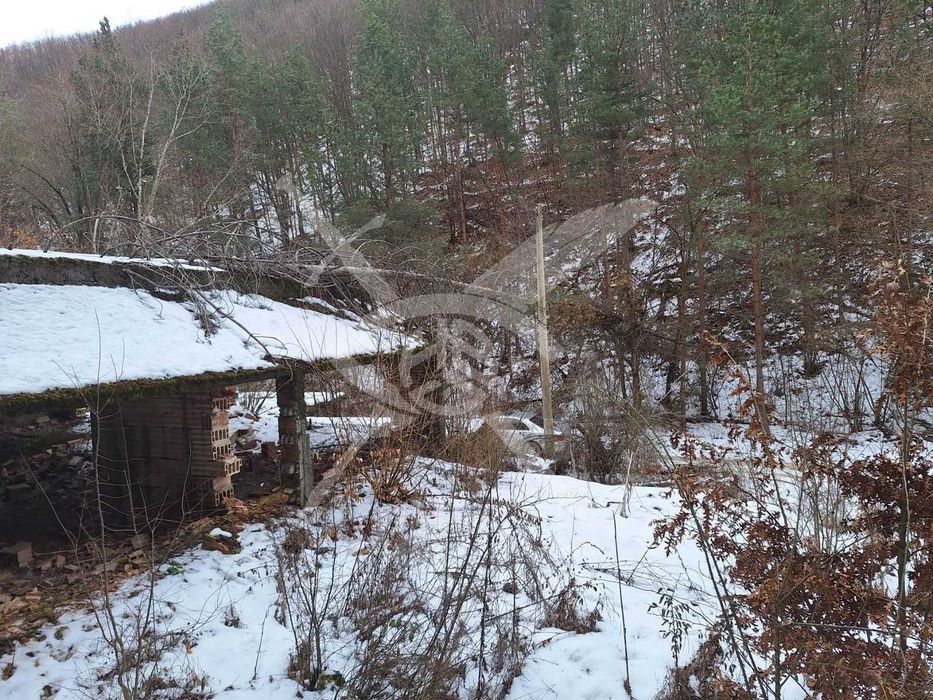 Парцел в село Царичина № 97986