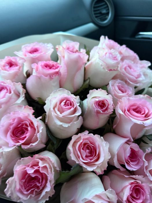 Цветы. 25 роз. Свежий букет