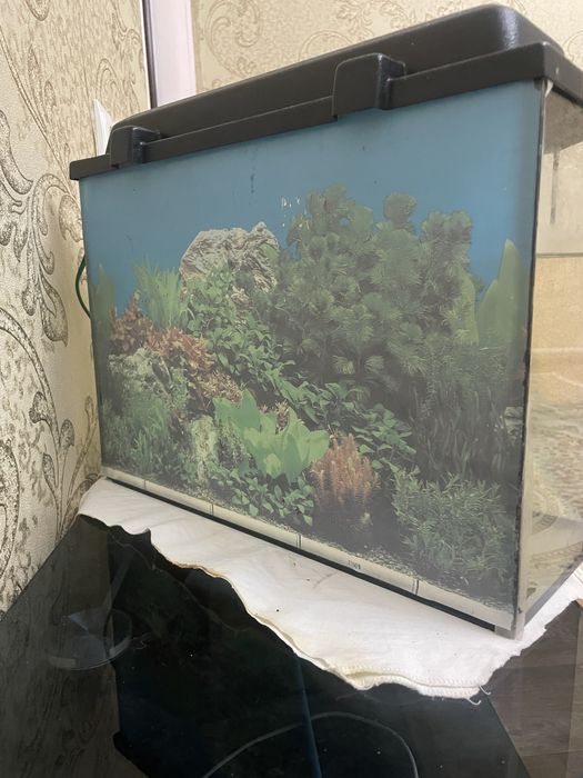 аквариум 25 литров