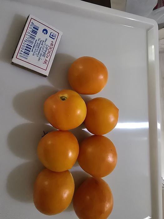 Помидоры дачные.