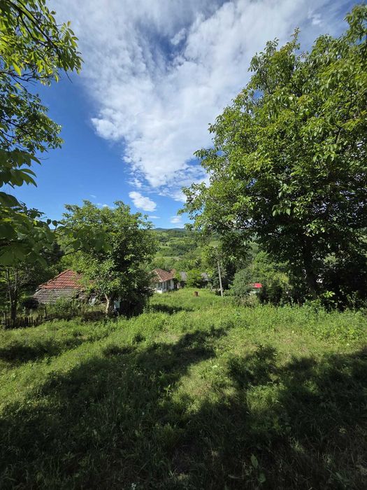 Teren de vanzare intravilan Cozieni (sat Trestia) jud Buzau
