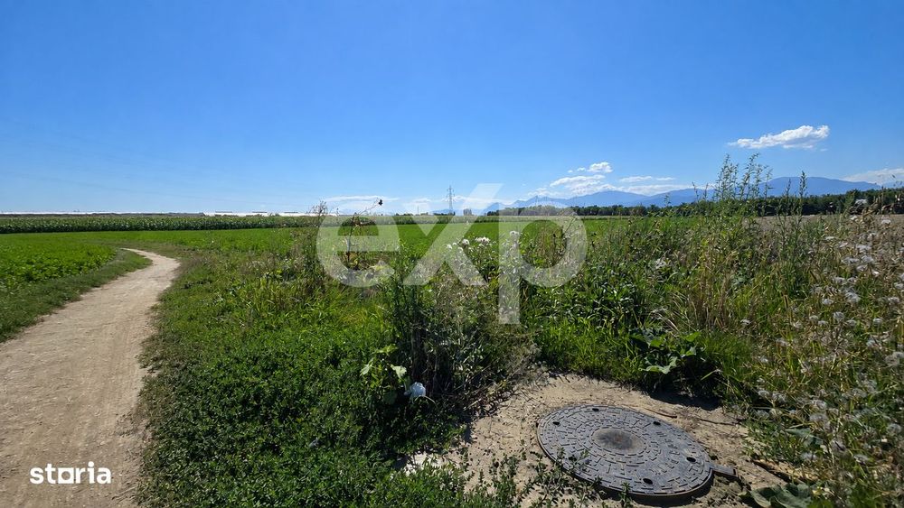 Teren intravilan 17.204 mp Stupini – zona mixta ZM, POT 40%, CUT 1,5