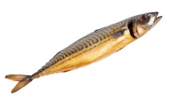 Копченная скумбрия