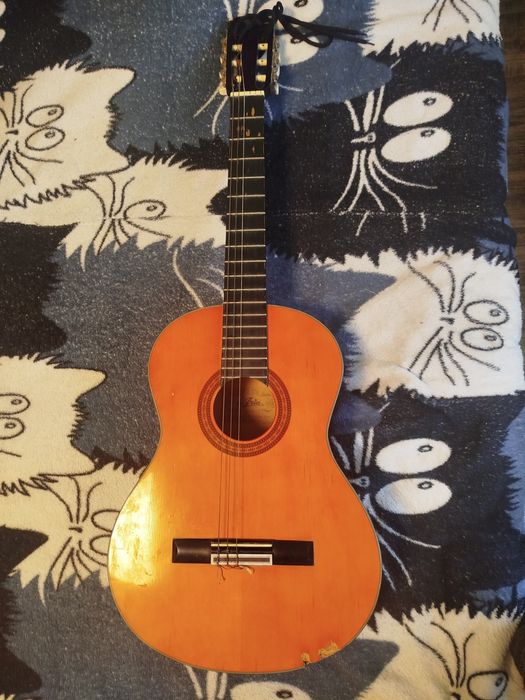 Гитара акустическая ария