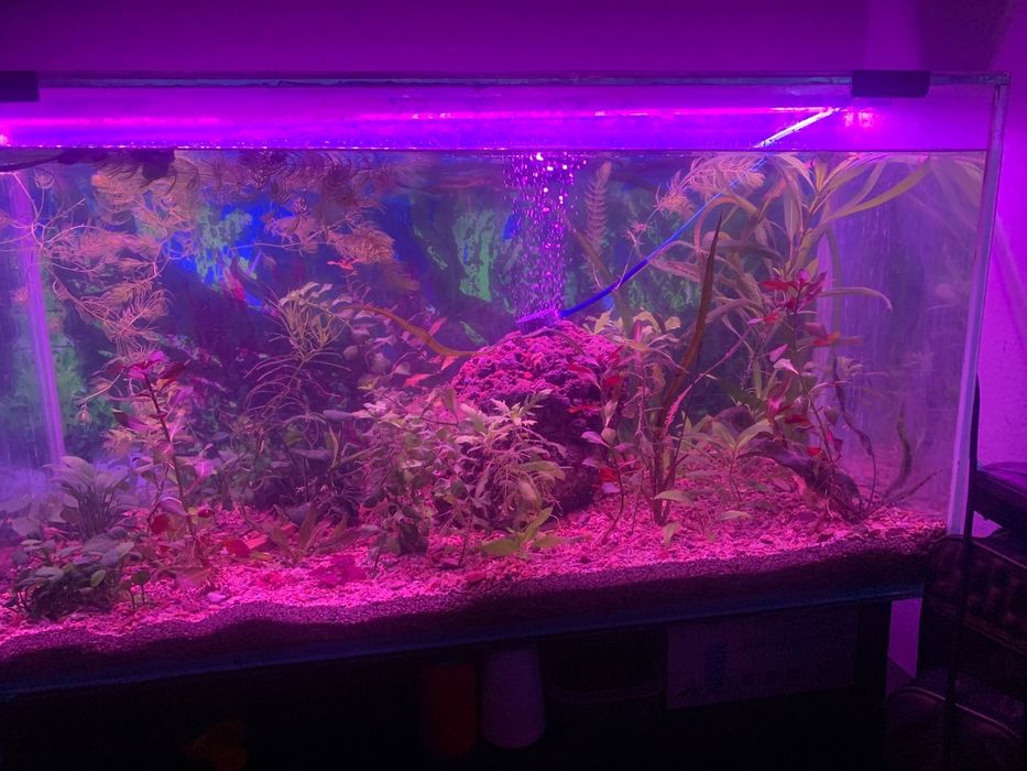 Продам аквариум 140л