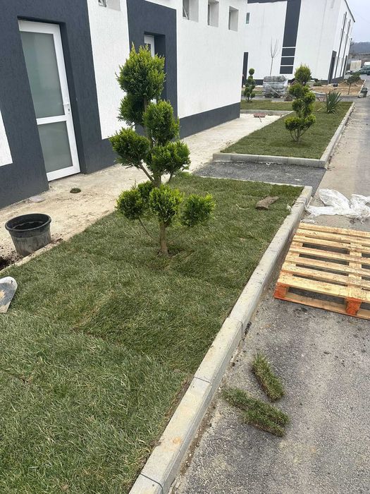 Montaj gazon rulou natural | Amenajări curți și grădini