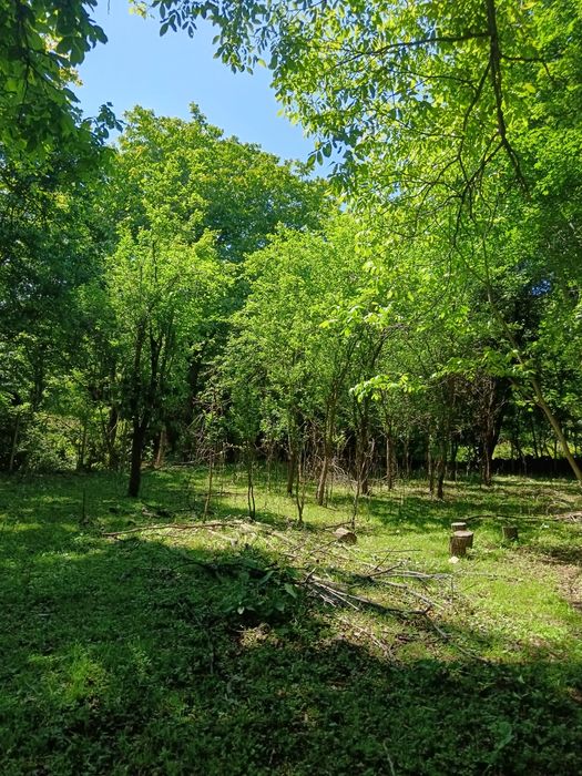 Парцел в регулация 650 кв. м. гр. Ябланица