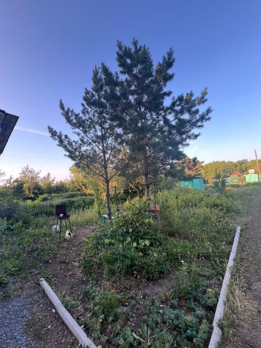 Продается ухоженная дача