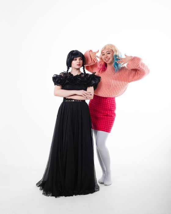 Аниматоры в детский сад, лагерь и домой!!!