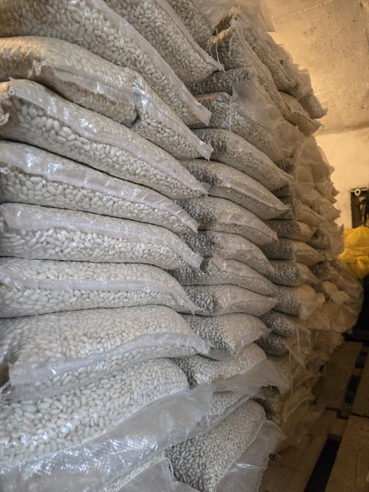 Български Бял боб -  сорт Еликсир