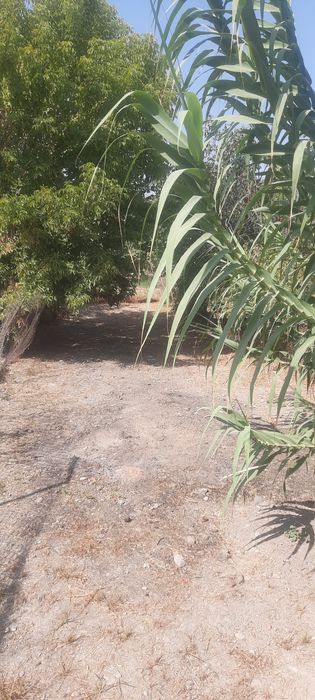 Дом продажа дом продажа