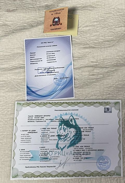 Продам щенка немецкая овчарка