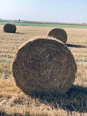 Слама Рулонки ичемяна и пшеничена