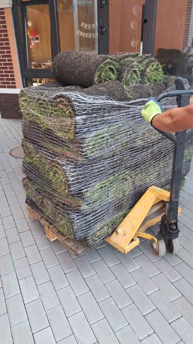 Продажа и укладка рулонного газона