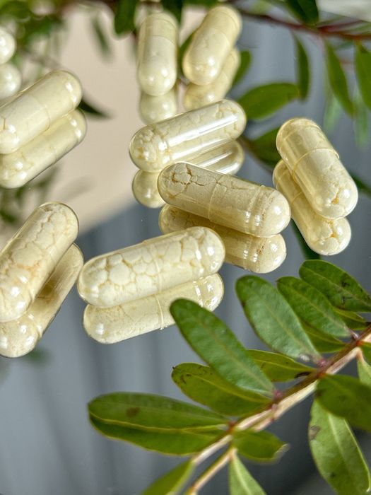 Саумал кобылье молоко 90 капсул