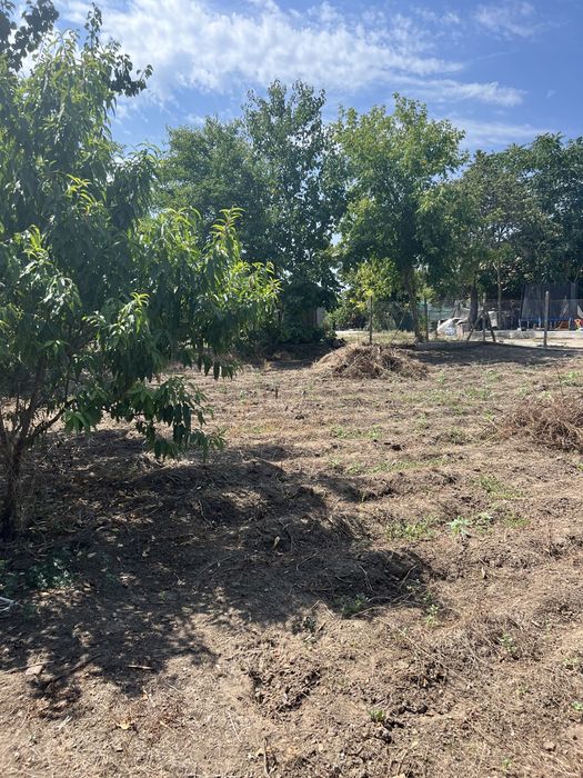 Две къщи с гараж и два декара двор