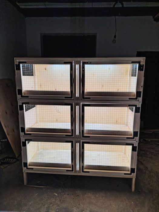 Quyon va tovuq qafas