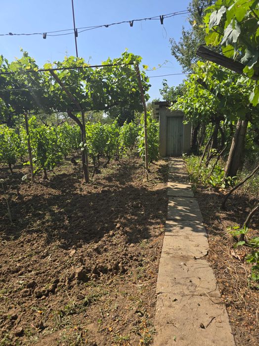 Продава се Къща в с. Калипетрово, Област Силистра - 45 кв.м за 680 €/кв.м - Снимка #22