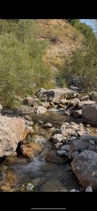 Дача сотилади бирчимулло Гулкам ресор йолида 400 метр етмасдан  видео