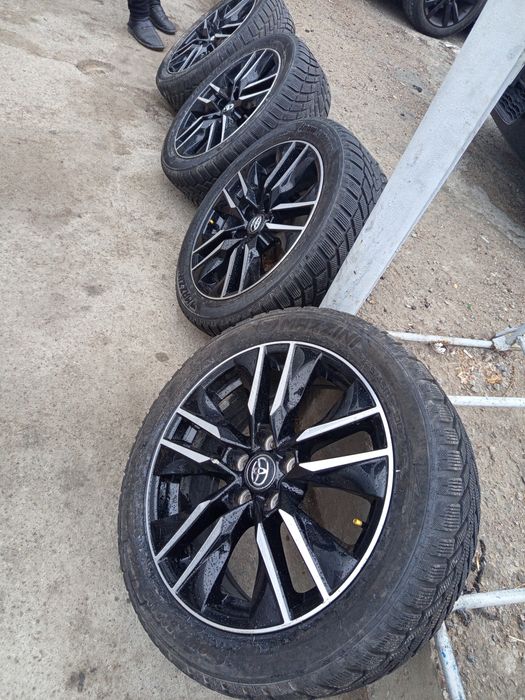 Tayotta diska balon arginal